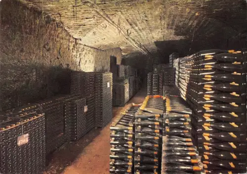 BR52776 Cave de la Grosse Tour Beaune Frankreich