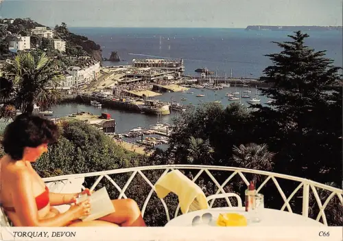 BR89802 torquay devon uk