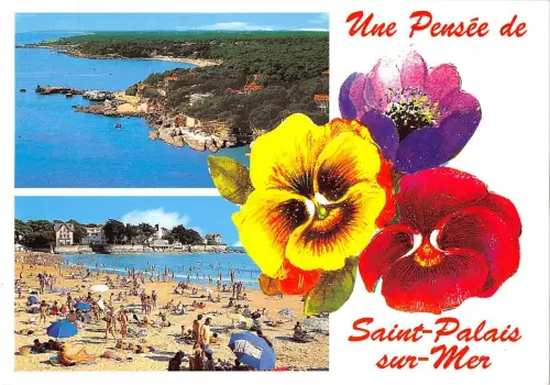 BT8152 Saint Palis sur mer Frankreich