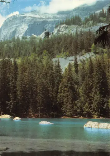 BT8954 Le Lac Vert dans son cadre sauvage Frankreich