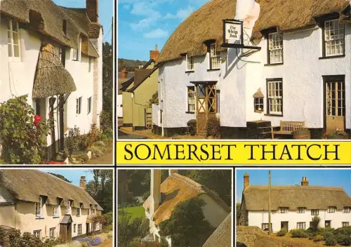 BR89932 Somerset Stroh UK