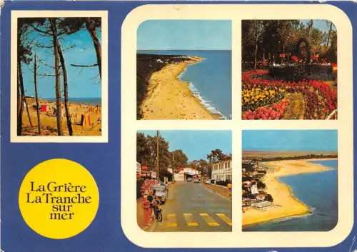 BR25139 La Tranche Sur Mer Les Plages Frankreich