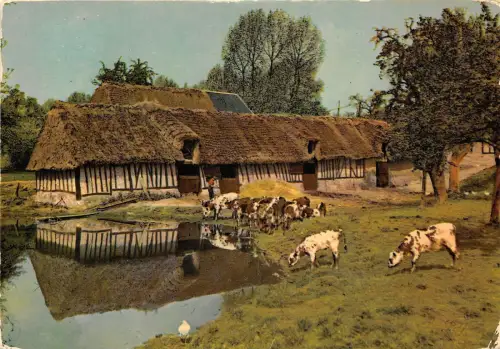 BR31201 La Normandie cour de ferme cow vaches france