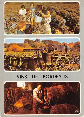BR25674 Bordeaux Le Charette de Vendanges 2 Scans Frankreich
