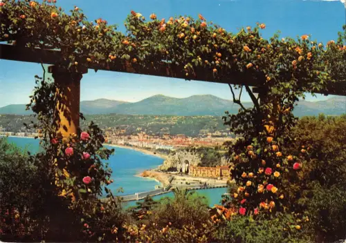 BT4356 Entre les pergolas Nice France