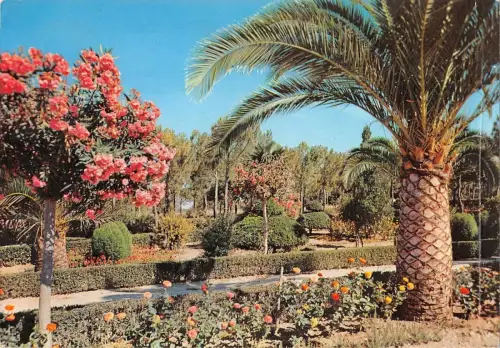 BT3717 Luci e Colori dela Sardegan sassari Italien