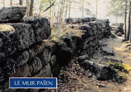 BF739 le mur palen Mont sainte odile Frankreich