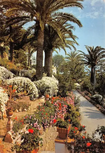 BF1787 Vegetation Mittelmeer Frankreich