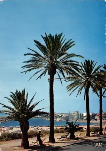 BR31775 toulon promenade du mourillon france