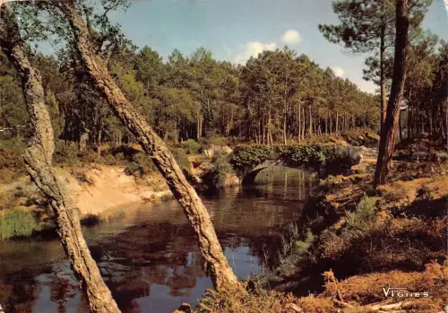 BT10170 Visage des landes courant France