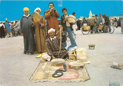 B91046 Schlangenarten Folklore Marrakesch Charmeurs de Serpents Marokko