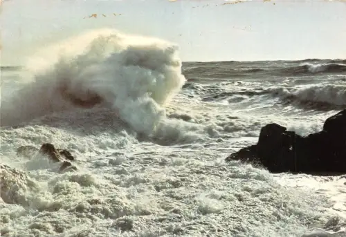 BR22831 Vieil ocean o grand celibataire quand tu parcours france