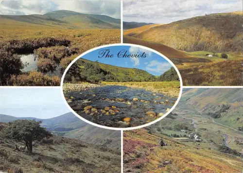 BR90827 the cheviots dundsdale happy valley uk