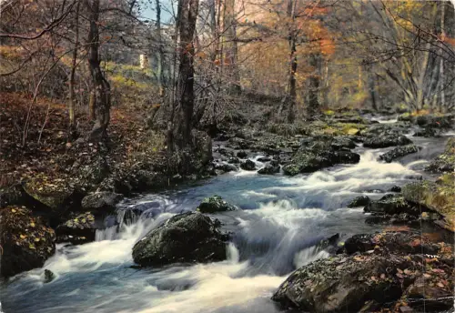 BF1259 Frankreich Waldlandschaft Frankreich
