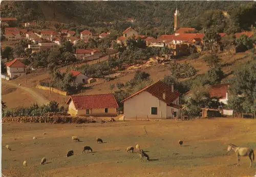 B91176 ain dram tunesien