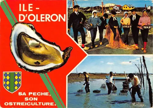 BT8085 Ile d Oleron Frankreich