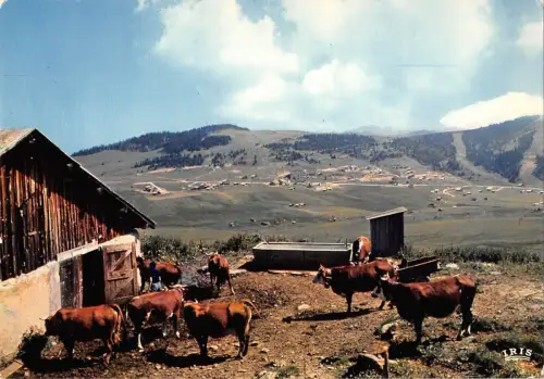 BT8958 Col des saisies la station et le mont blanc depuis les alpages Frankreich
