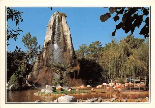BR30338 Zoo de la Palmyre le Rocher et les flamants Rosen Frankreich 1
