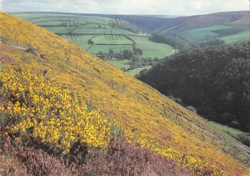 BR75982 Malmshead from Country Gate Late Summer Exmoor National Park UK