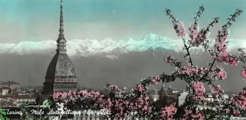 BT2908 Torino La mole antonelliana et le salpes Italien