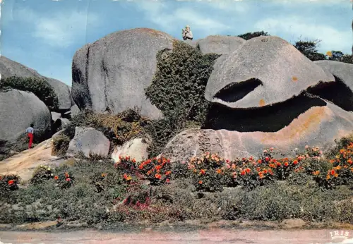 BR54342 Tregastel le pere eternel france