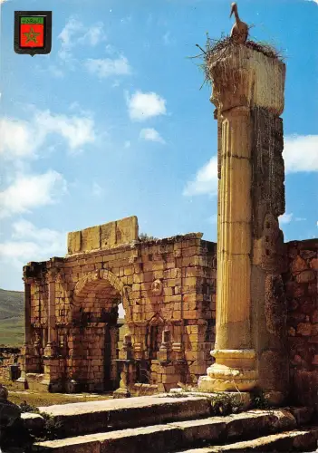 BR49819 Volubilis arco del trimfo de caracalla Marokko