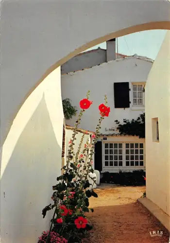 BF938 masions typiques ile de re France