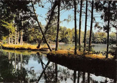 BT5828 St Dizier etang de la marina Frankreich