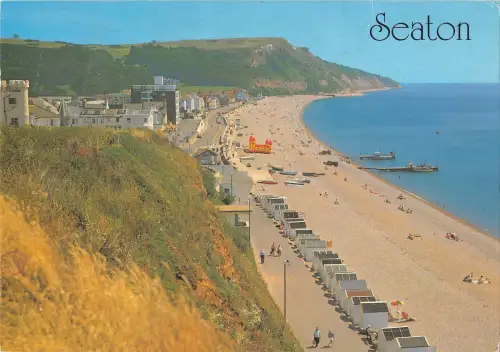 BR89252 the beach from west cliff seaton uk