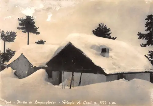 BR51734 Pineta di linguaglossa Ätna Italien