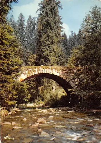 BT10173 Gerardmer le pont des fees Frankreich