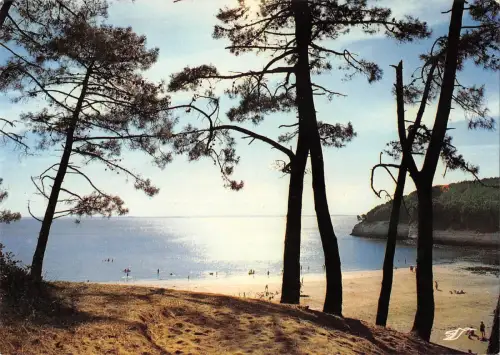 BR49195 Meschers la plage de la rneche France