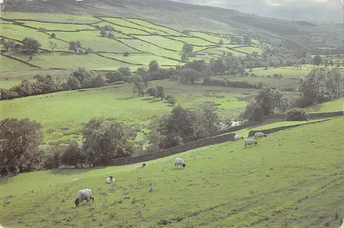BR75718 wensleydale pastures uk
