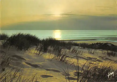 BT4883 Coucher de soleil dans les dunes