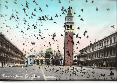 BT1766 venezia piazza s marco pccionata italy