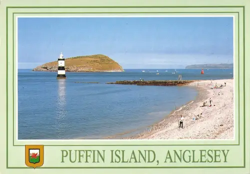 B97274 Papageientaucherinseln Anglesey Wales