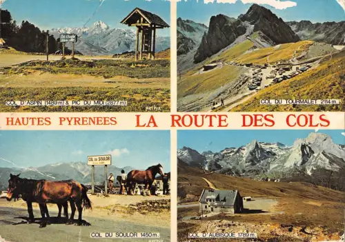 BT9837 La route des cols les pyrennes horses chevaux France