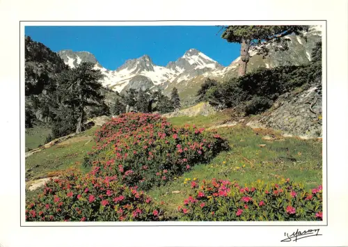 BF930 Pyrenäen Frankreich