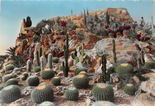 Br43954 Eze le jardin exotique Pflanzen Kaktus