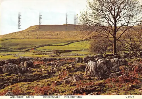 BR82113 yorkshire dales ribblesdale ingleborough uk