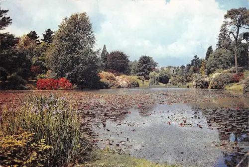 BR91528 sheffield park gardens sussex uk