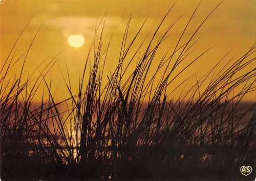 BR54328 Le Roi brillant du jour se couchant dans sa gloire France la prei france