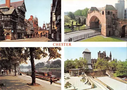 BR83537 chester uk