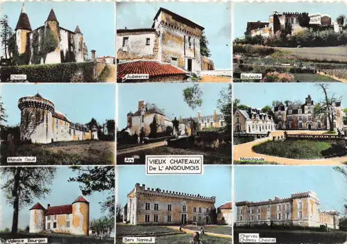 BR29629 Vieux Chateaux de l Angoumois france