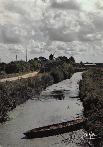 BT8199 Quand les pluires de l hiver depassent les sabots L Etier d France