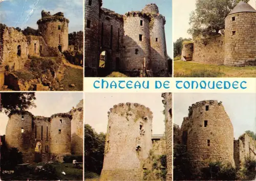 BR52542 Le chateau de Tonquedec Bretagne Frankreich
