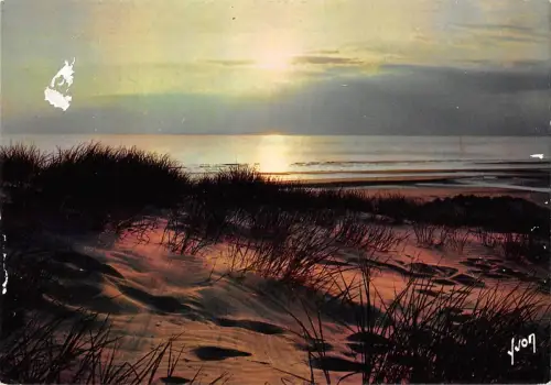 BT6894 Coucher de soleil dans les dunes france Frankreich