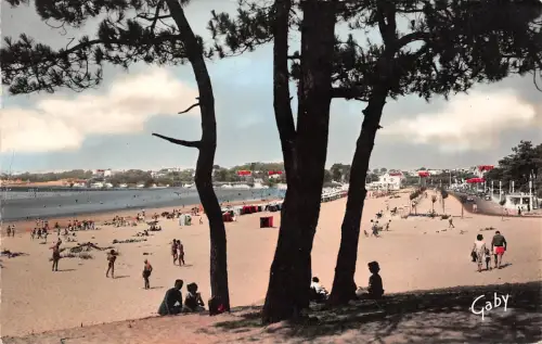 BR38121 Saint Georges de didonne la plage france