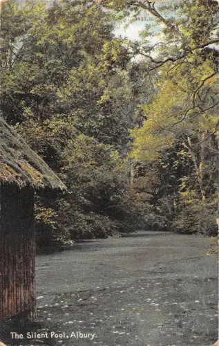 uk27932 silent pool albury uk