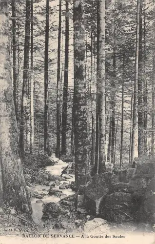 BF3746 ballon de servance france goutte des saules